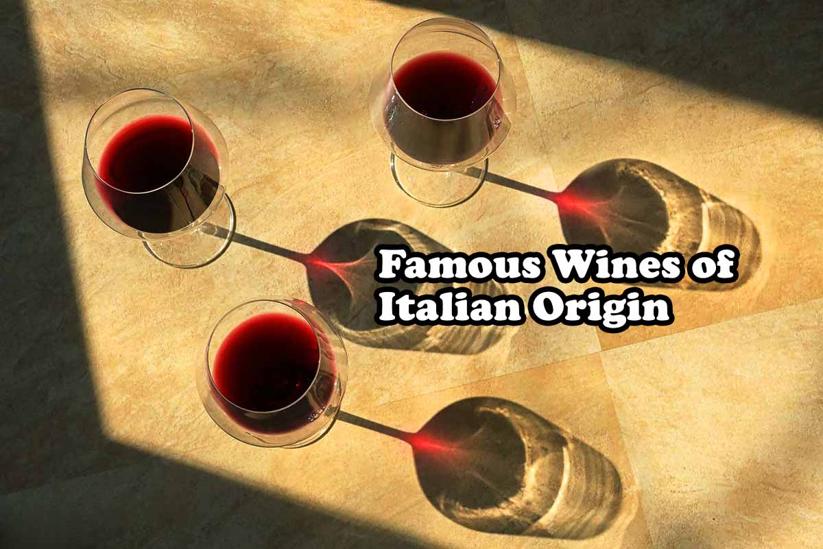 Famous Wines of Italian Origin
