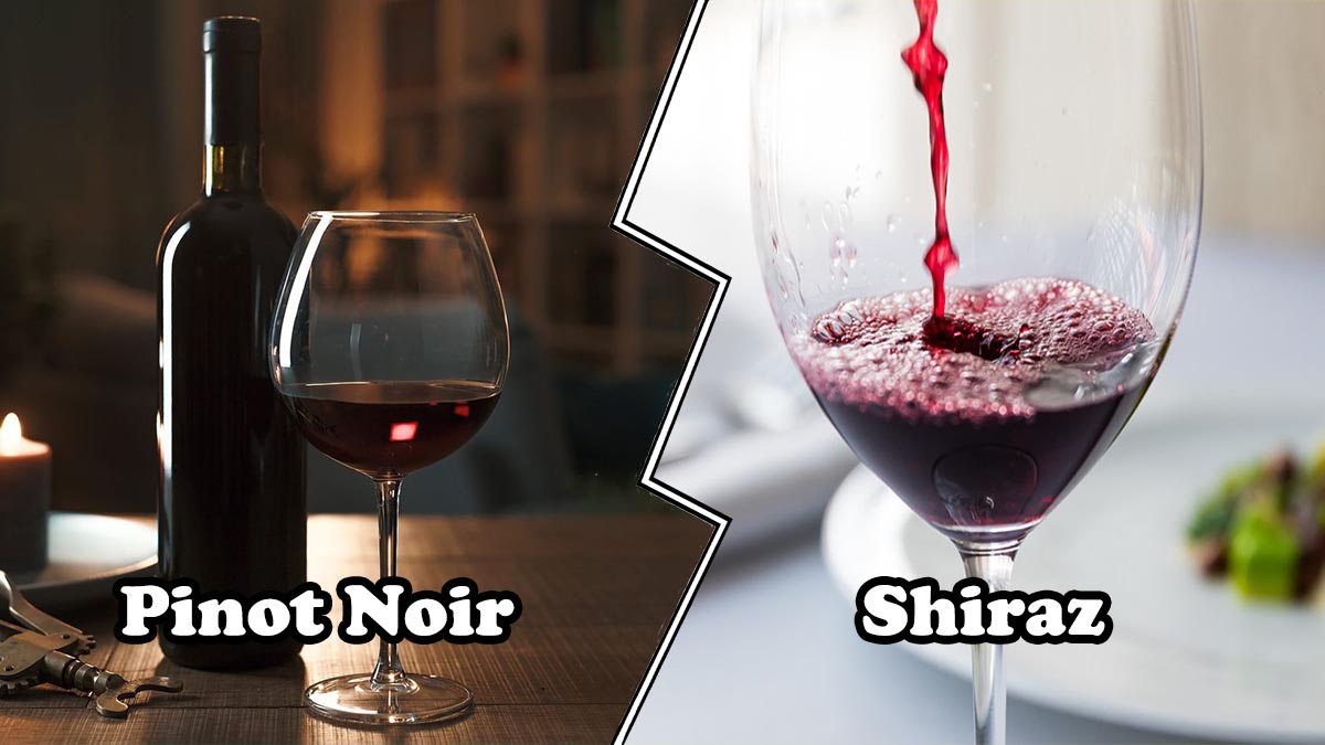 Pinot Noir vs Shiraz
