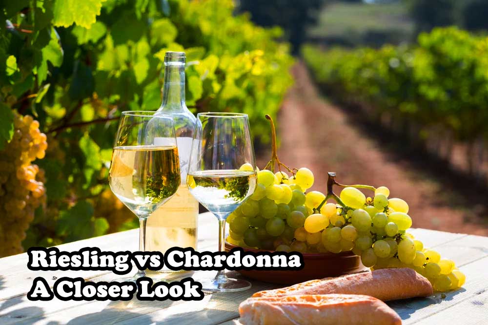Riesling vs Chardonnay A Closer Look 