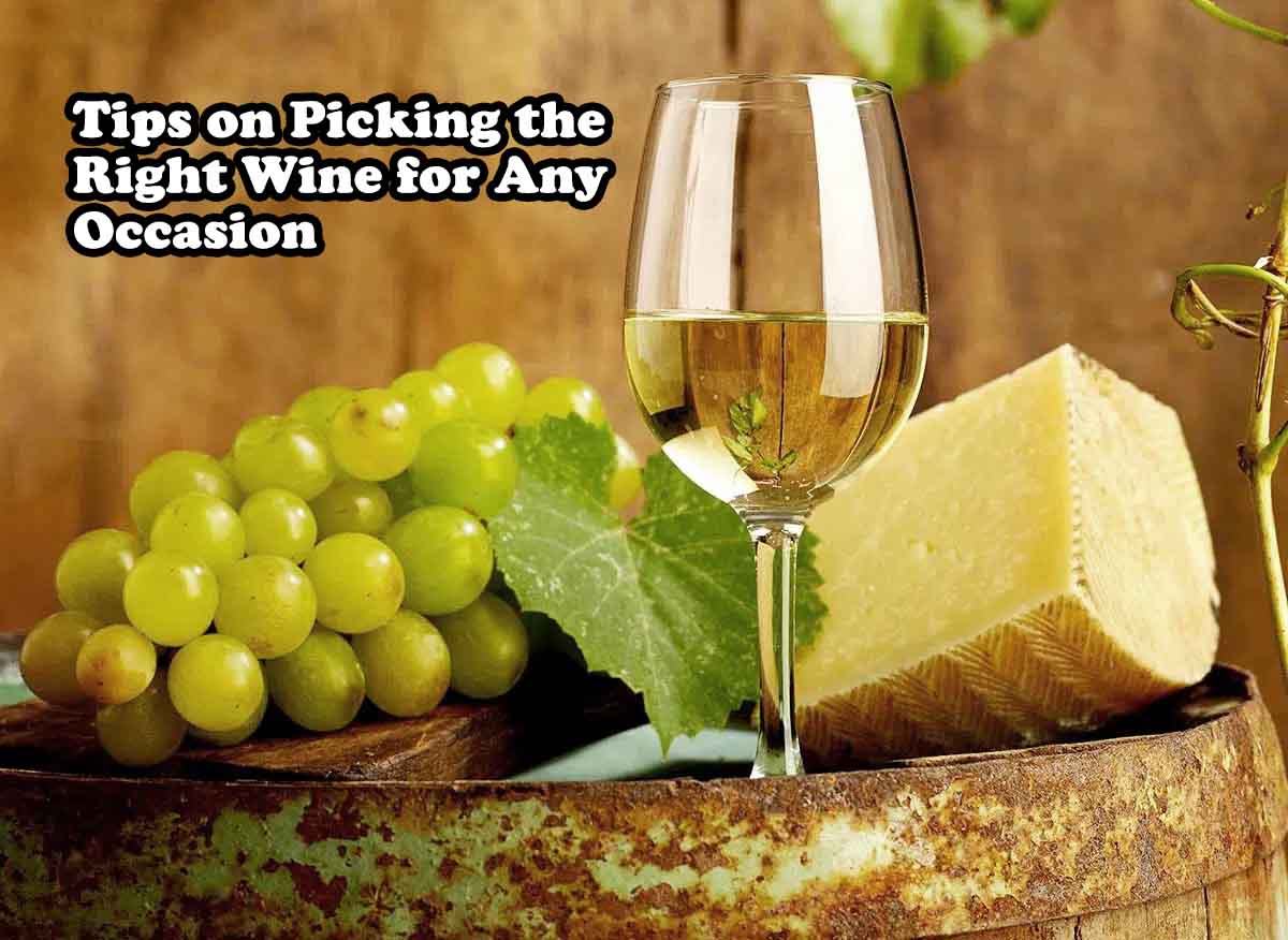 Tips on Picking the Right Wine for Any Occasion