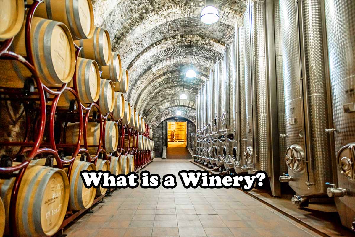 What is a Winery