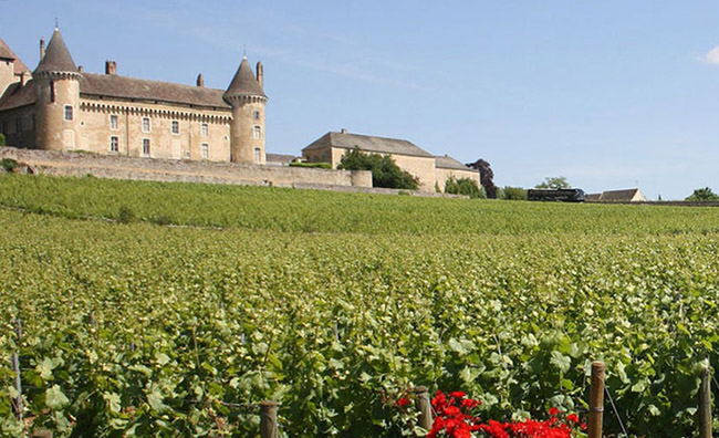 Wine Production of Burgundy Region 