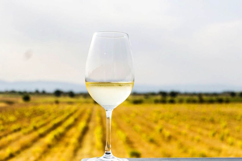 A Comprehensive Guide to Chardonnay Wines 