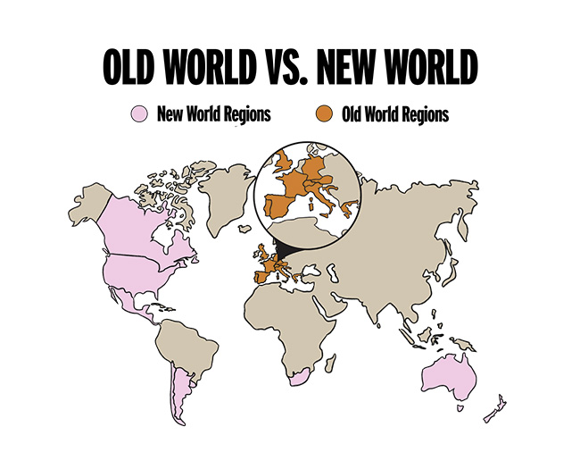 old world vs new world wine