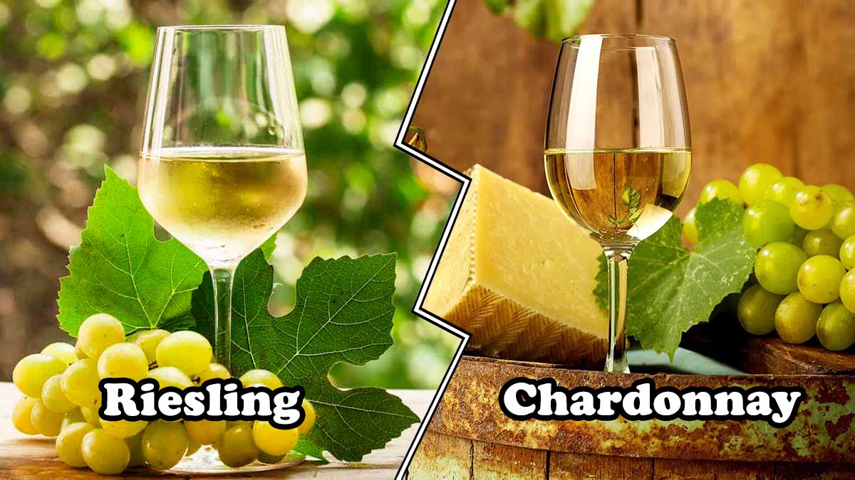 riesling vs chardonnay