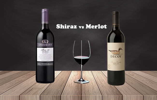 shiraz vs merlot