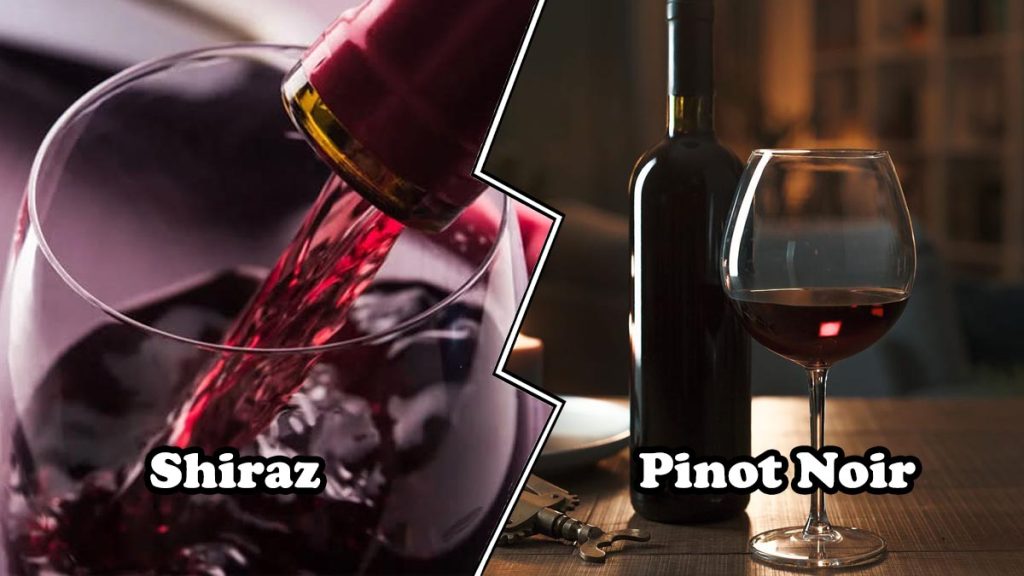 Shiraz vs Pinot Noir