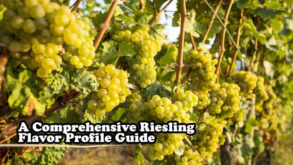 A Comprehensive Riesling Flavor Profile Guide 