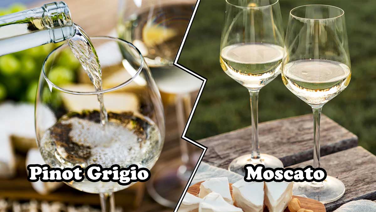 Pinot Grigio vs Moscato