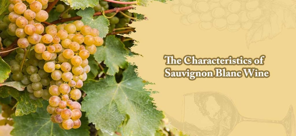 The Characteristics of Sauvignon Blanc Wine 