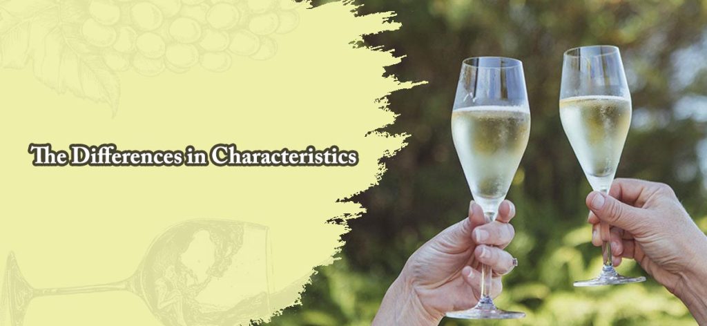 The Differences in Characteristics between Prosecco vs Other Sparkling Wine