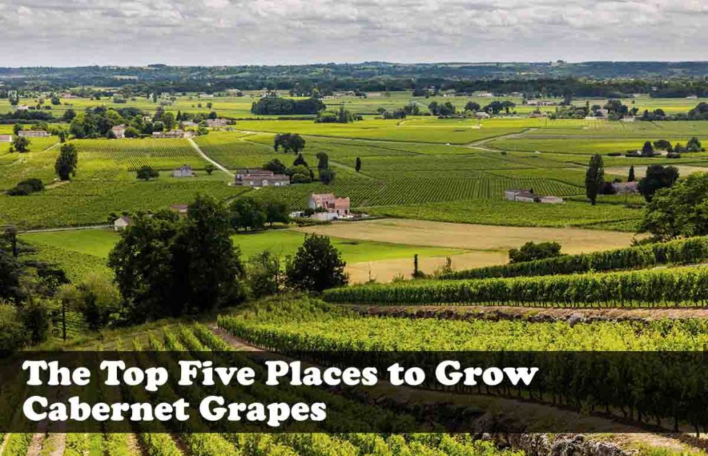 The Top Five Places to Grow Cabernet Sauvignon Grapes