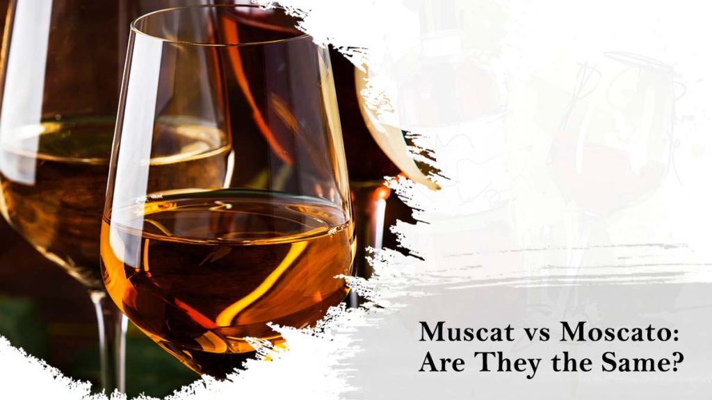 Muscat vs Moscato
