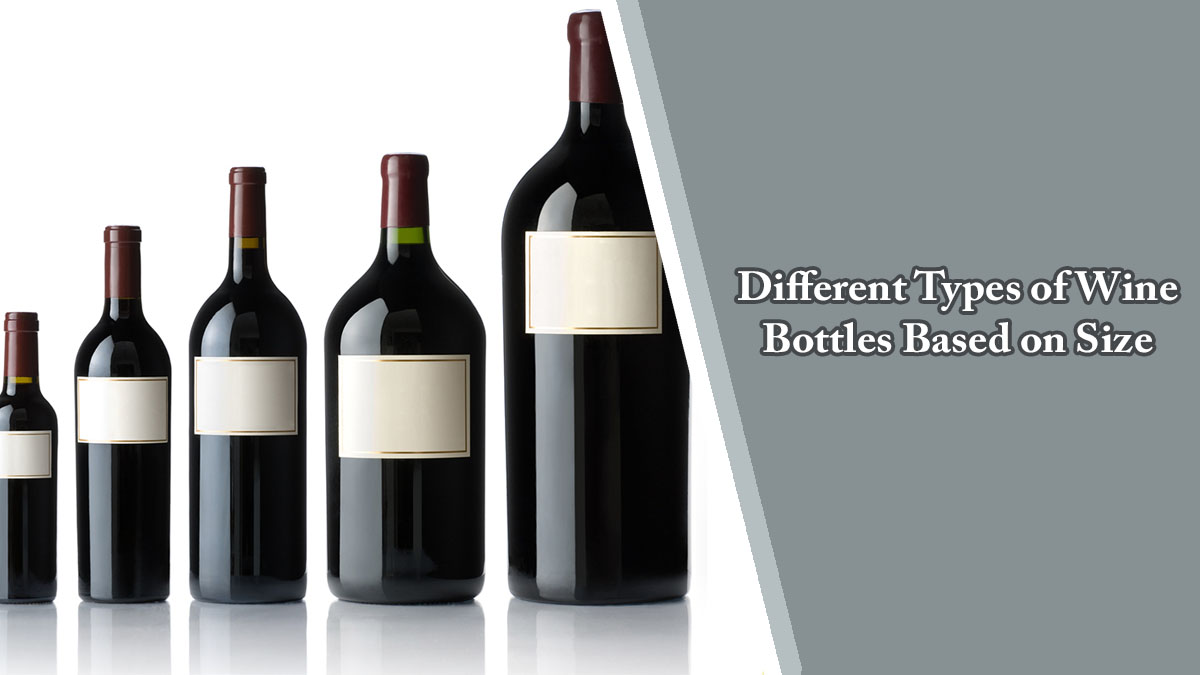 All About Different Types of Wine Bottles Based on Size 