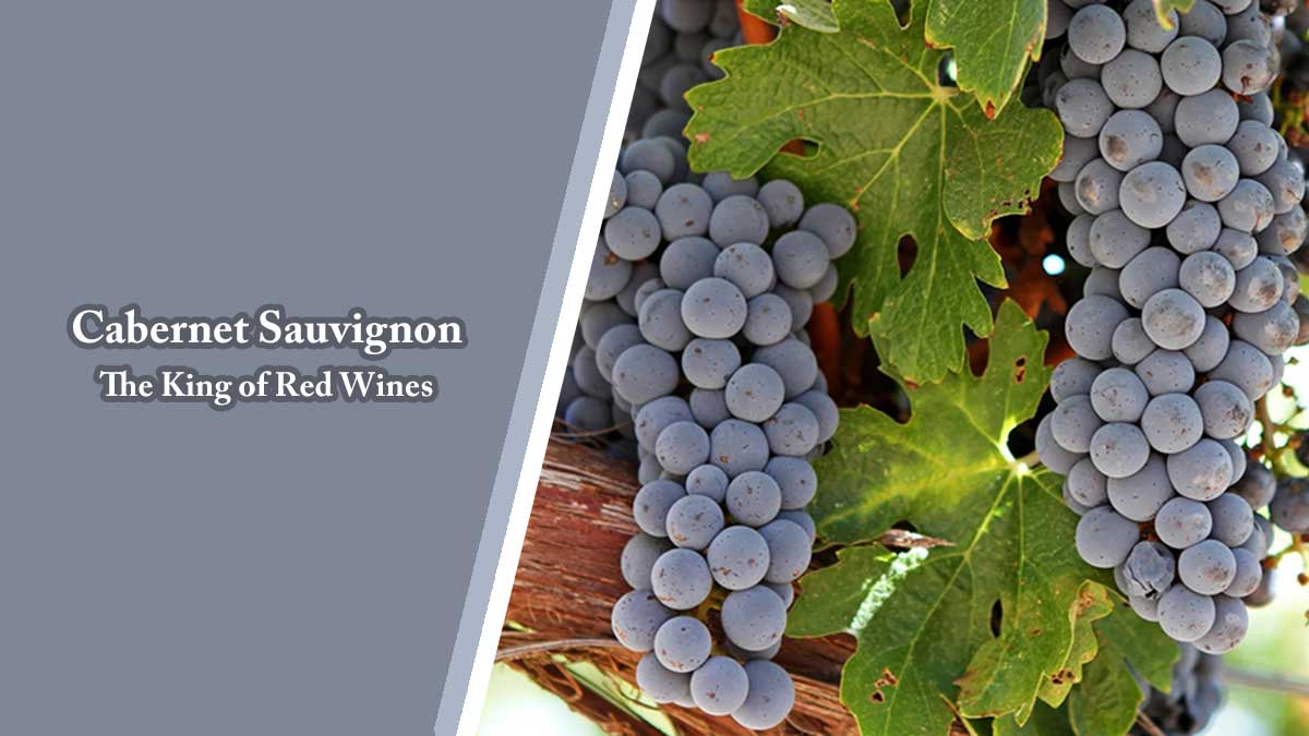 Cabernet Sauvignon The King of Red Wines