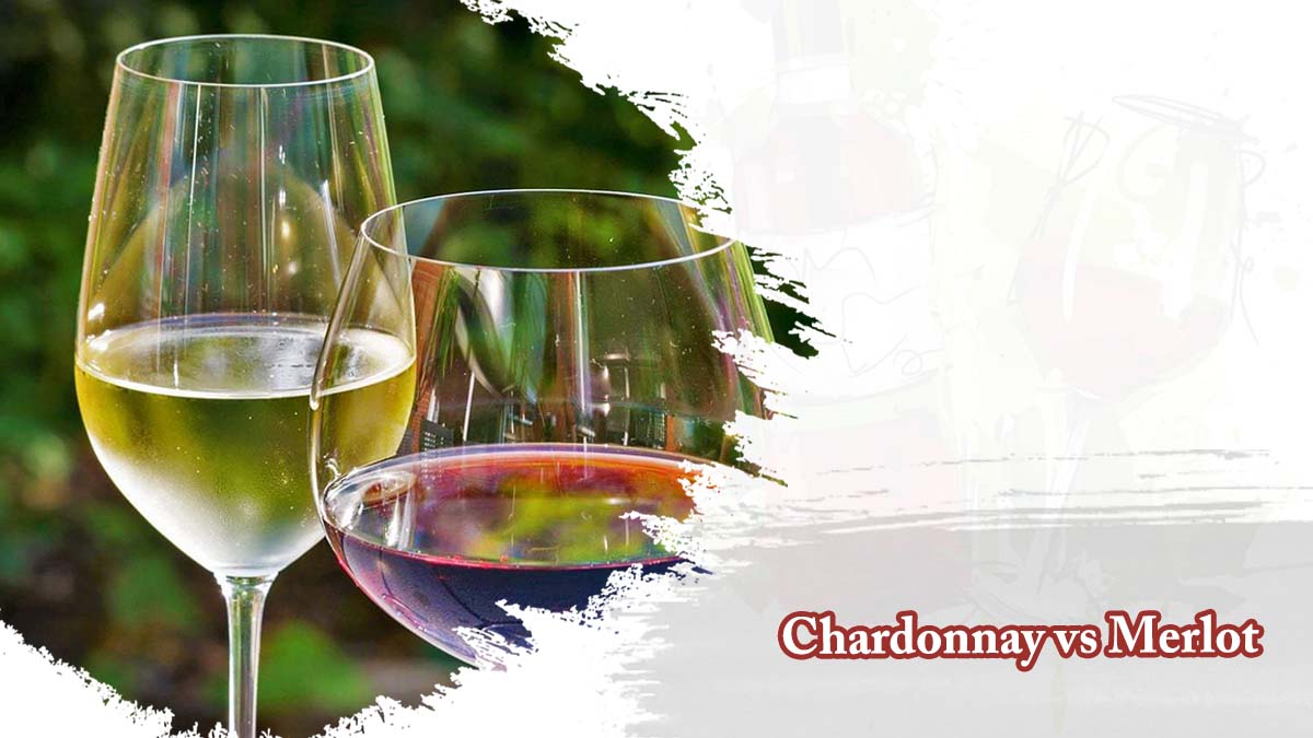 Chardonnay vs Merlot