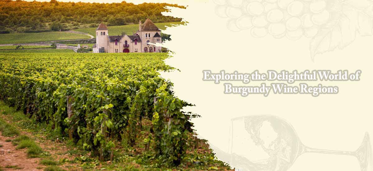 Exploring the Delightful World of Burgundy Wine Regions