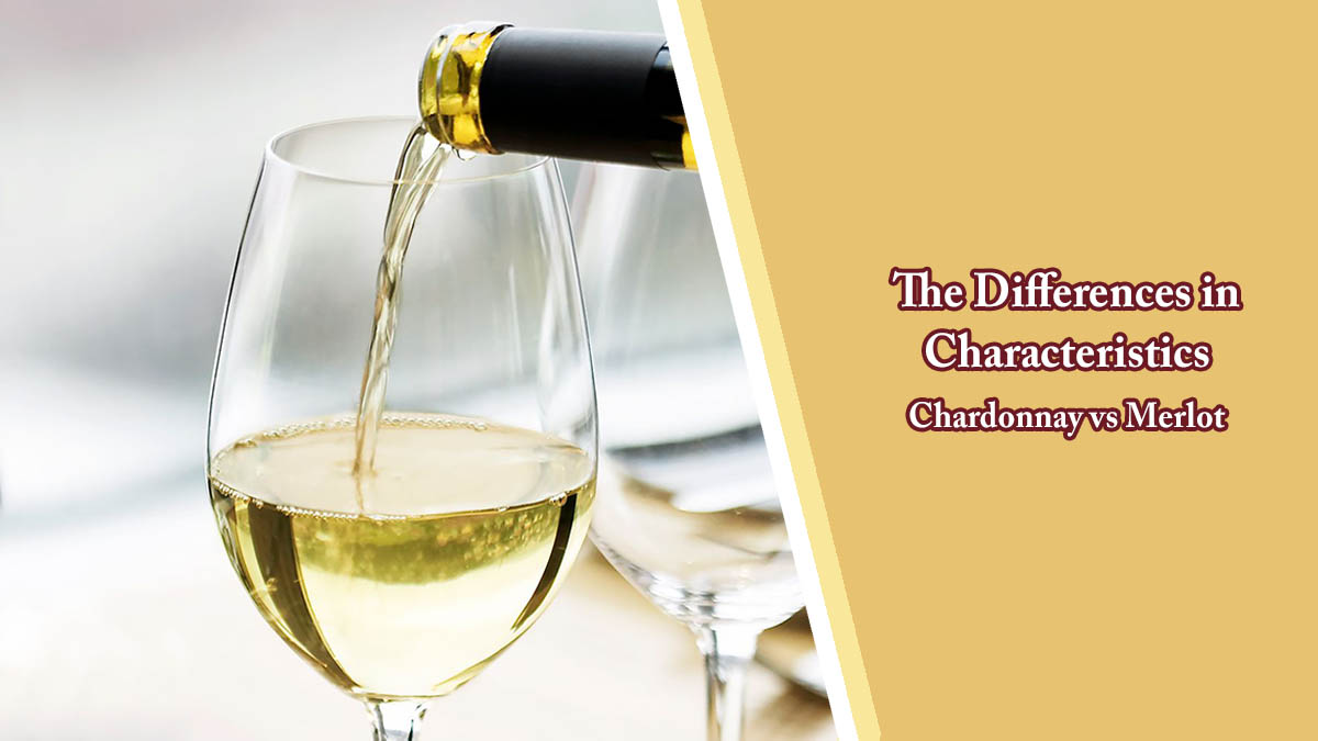 The Differences in Characteristics of Chardonnay vs Merlot