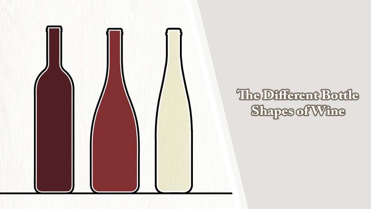 The Different Bottle Shapes of Wine