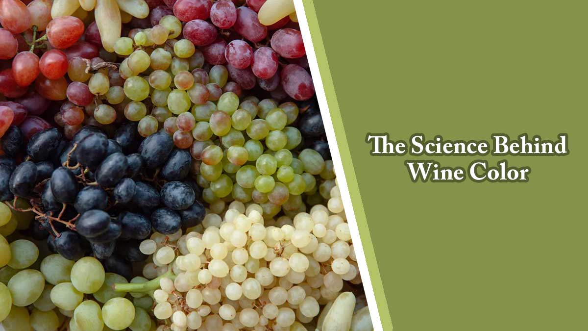 The Science Behind Wine Color