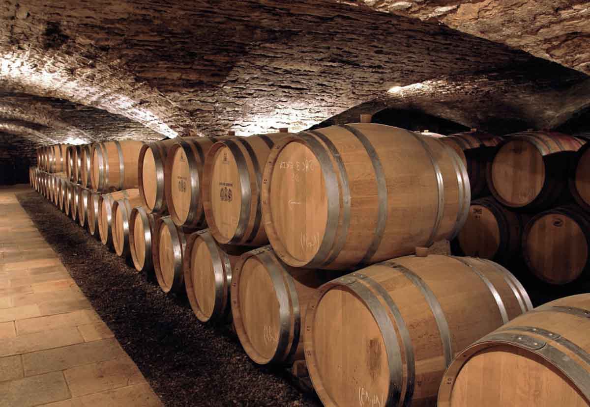 Wine Characteristics and Classification in Burgundy