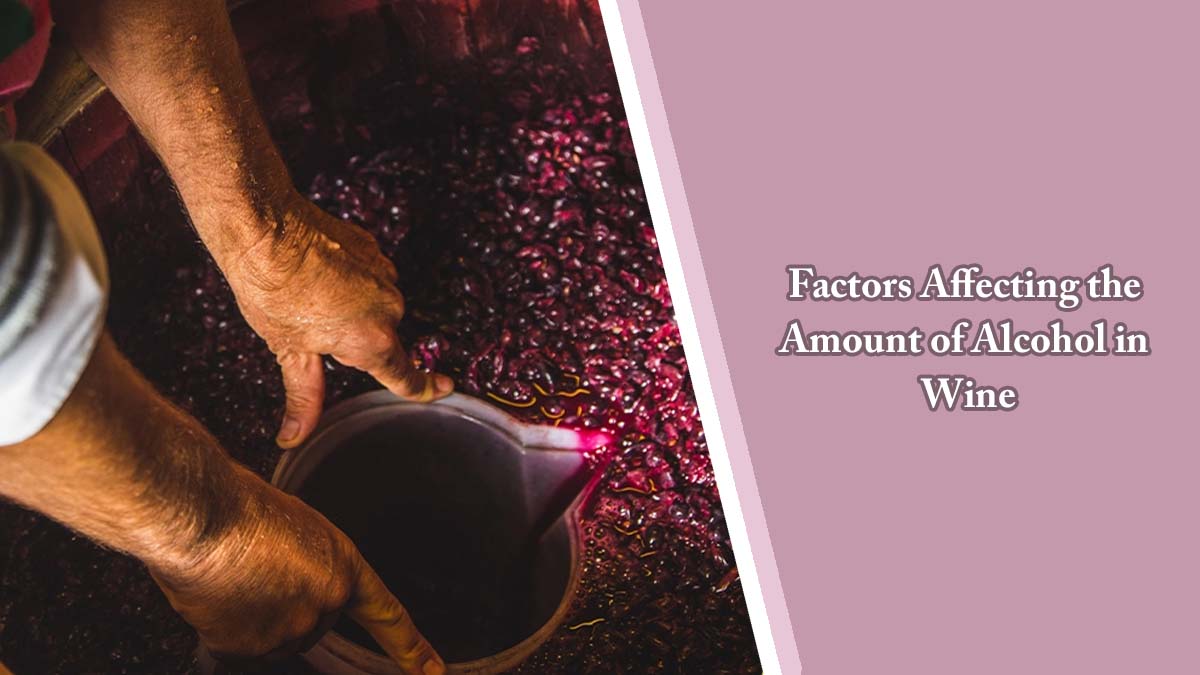 Factors Affecting the Amount of Alcohol in Wine 