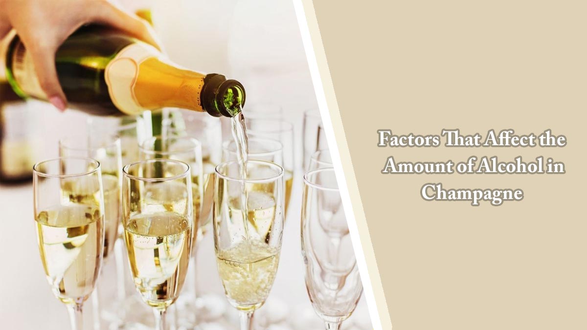 Factors That Affect the Amount of Alcohol in Champagne
