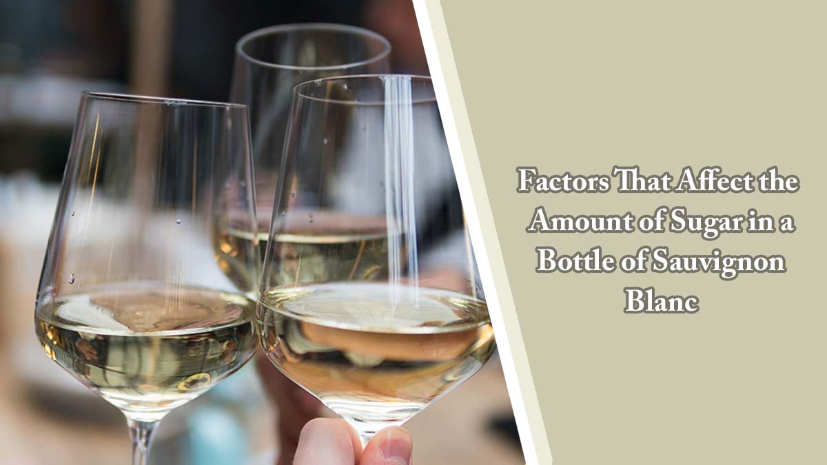 Factors That Affect the Amount of Sugar in a Bottle of Sauvignon Blanc