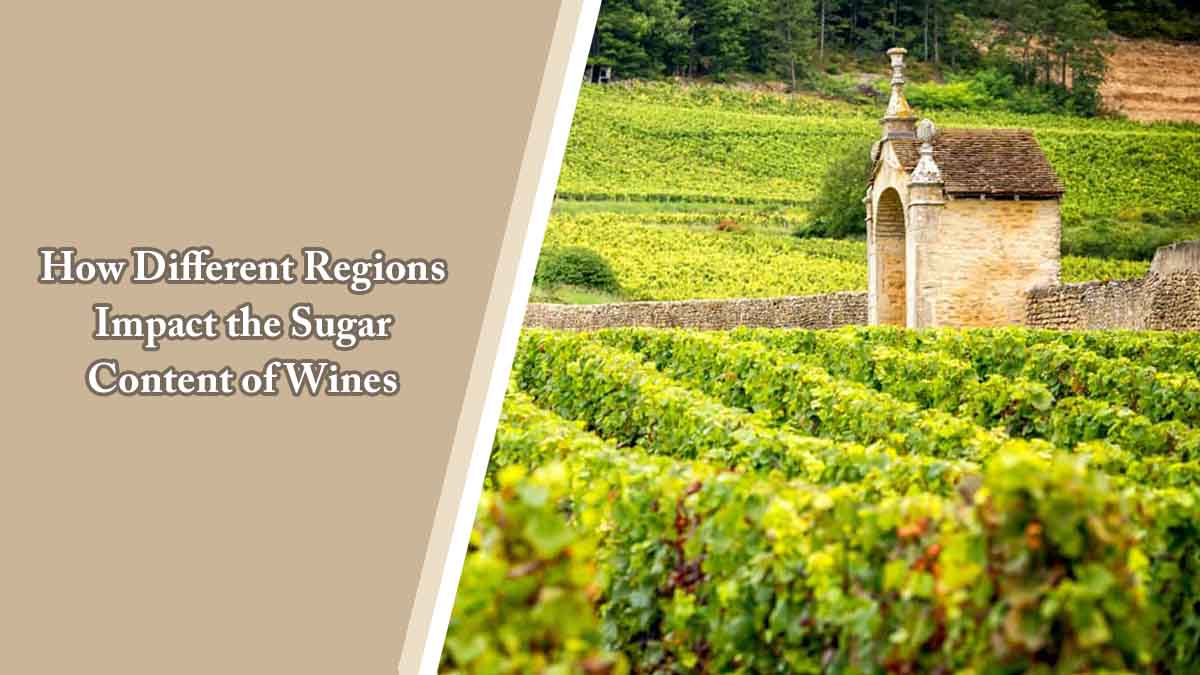 How Different Regions Impact the Sugar Content of Wines 