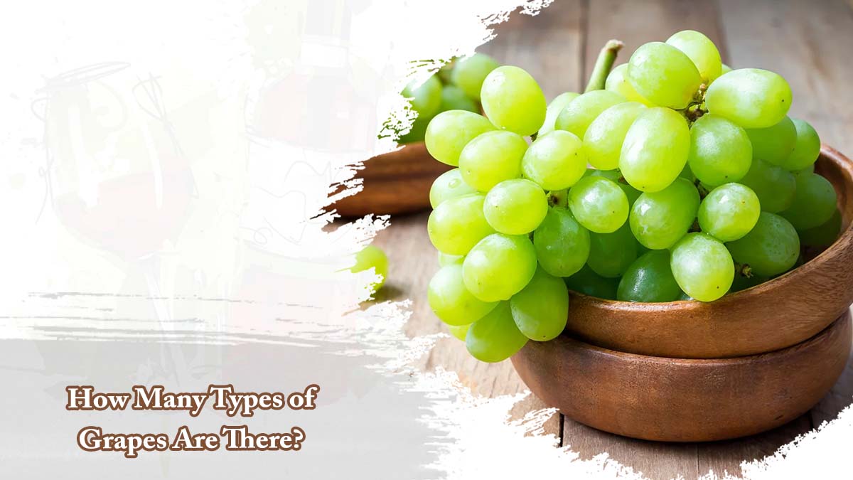 How Many Types of Grapes Are There