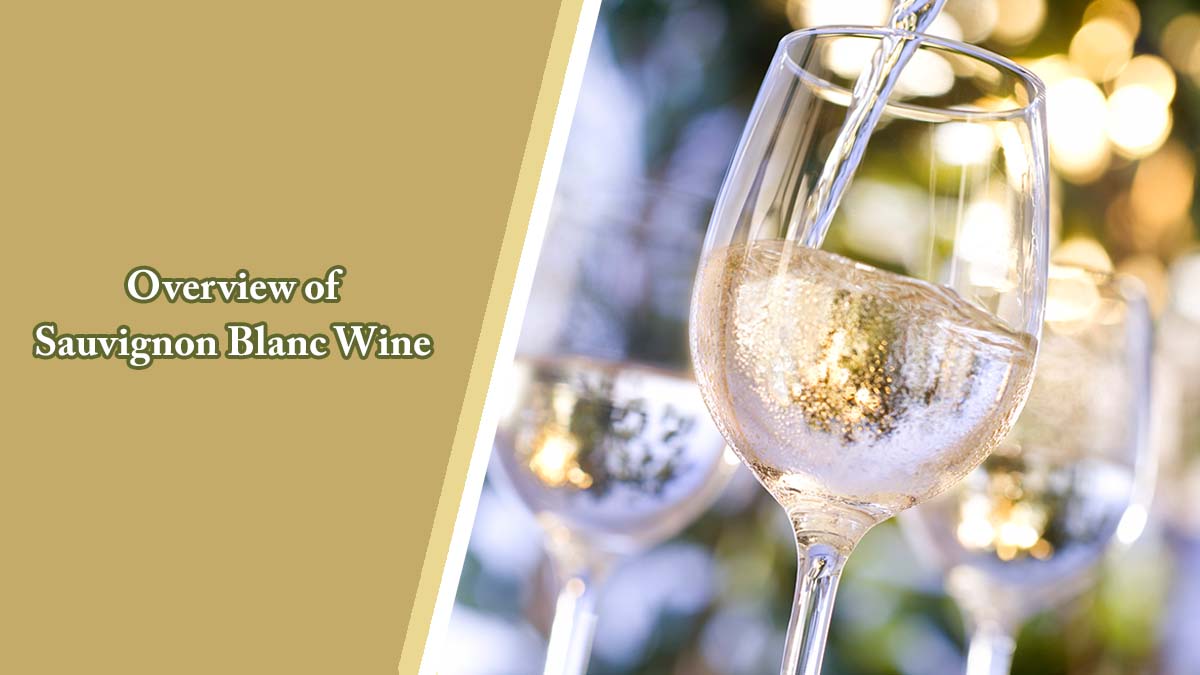 Overview of Sauvignon Blanc Wine