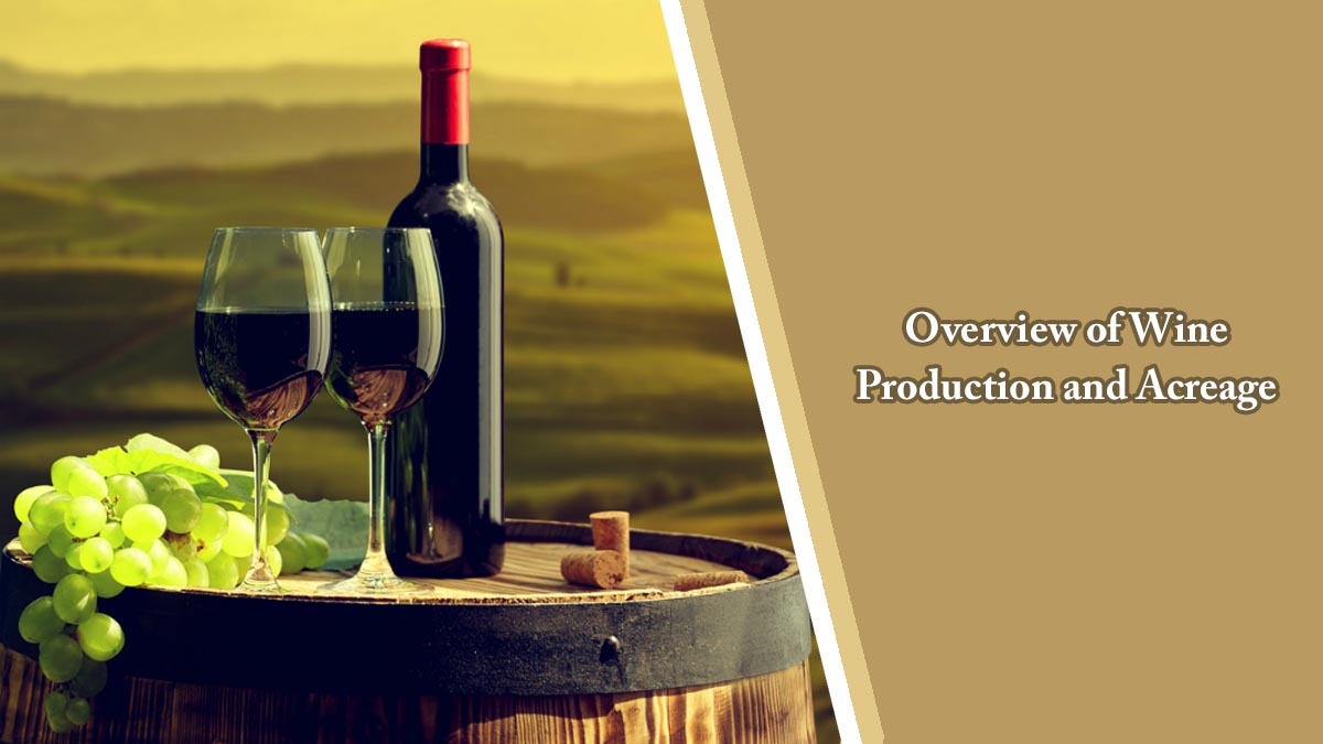 Overview of Wine Production and Acreage