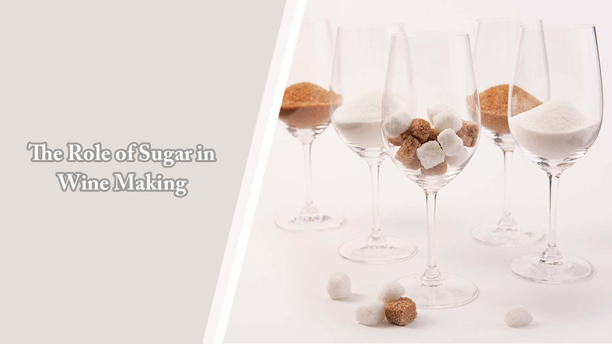 The Role of Sugar in Wine Making