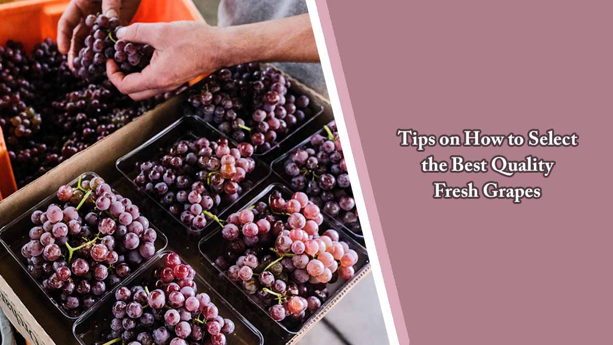Tips on How to Select the Best Quality Fresh Grapes