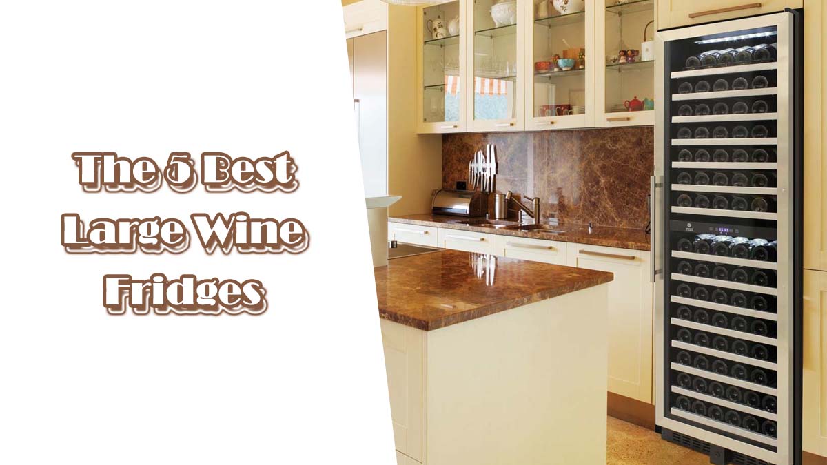 The 5 Best Large Wine Fridges