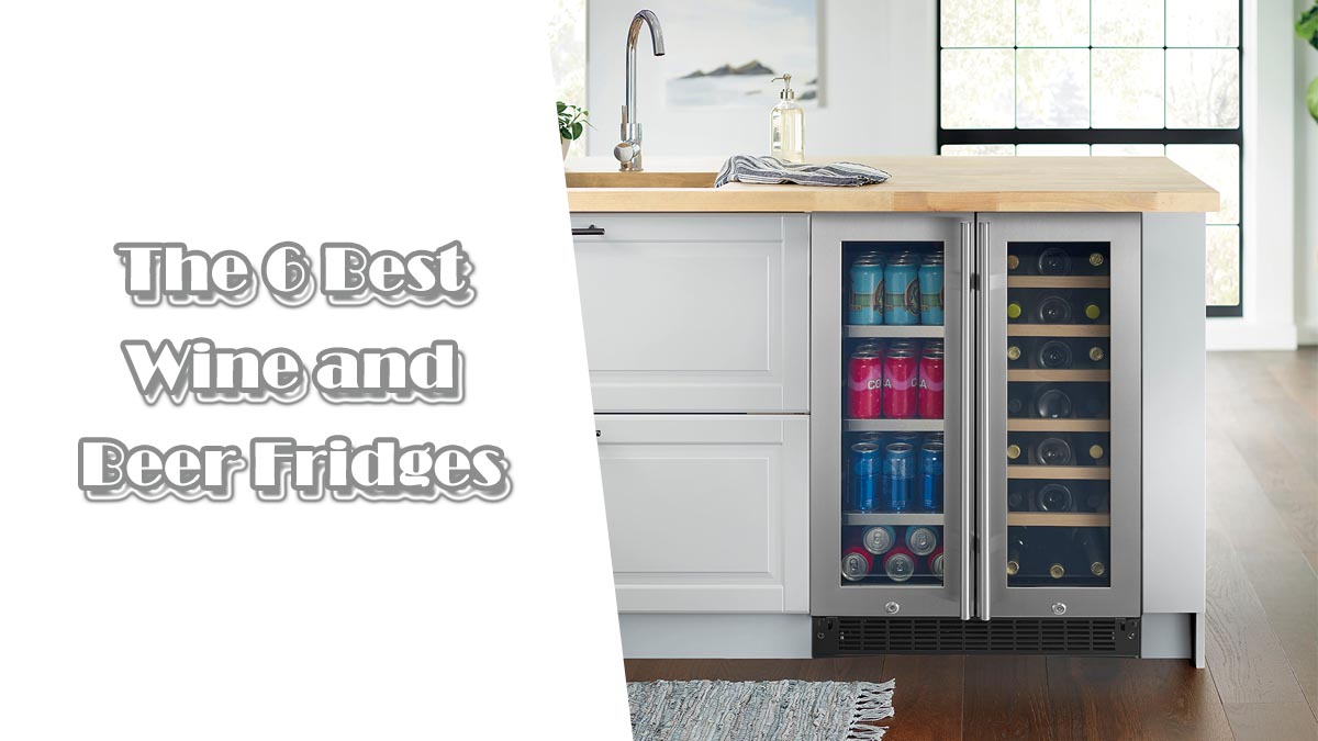 The 6 Best Wine and Beer Fridges