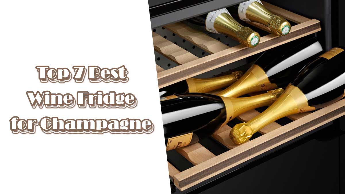 Top 7 Best Wine Fridge for Champagne